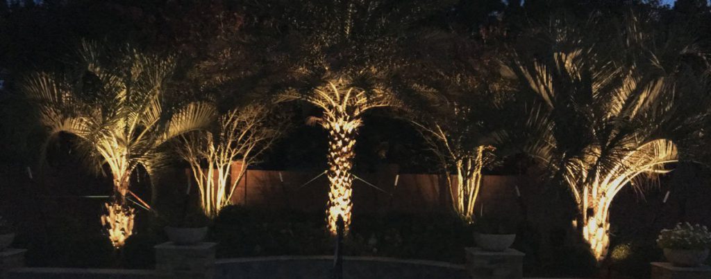 LIGHTING YOUR TREES