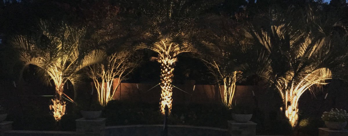 lighting trees