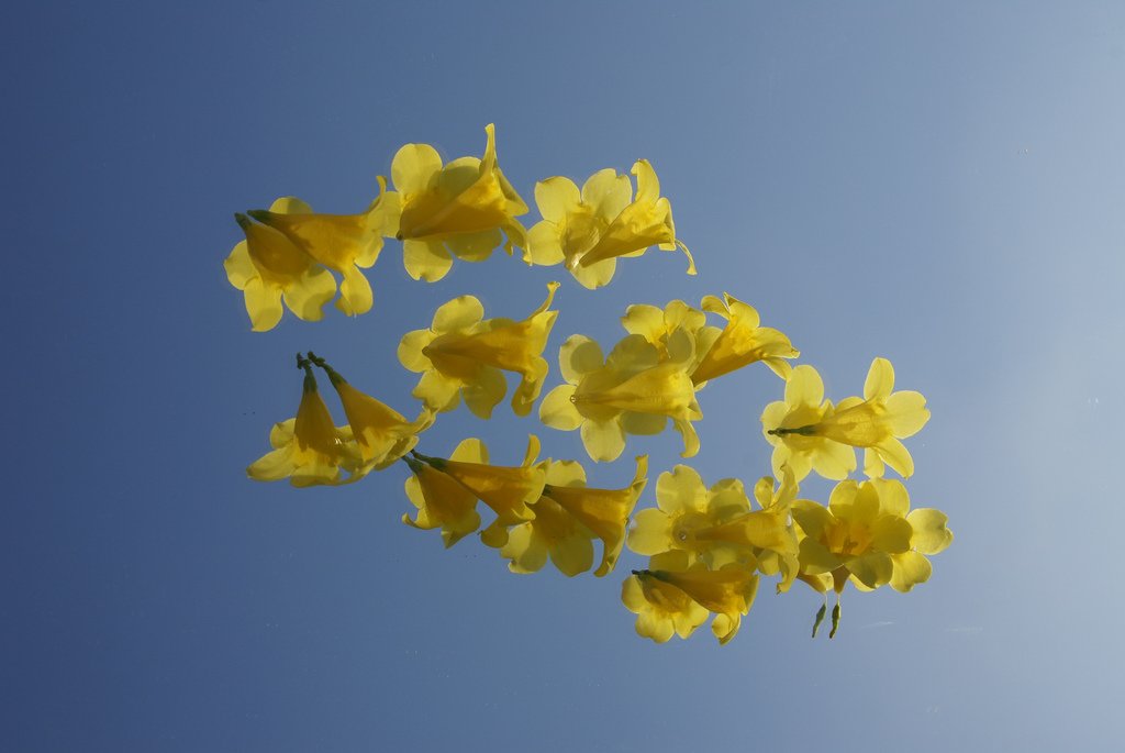 springtime lighting maintenance