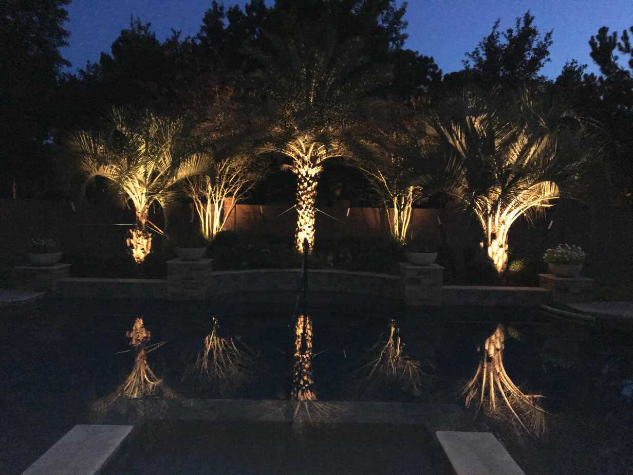 5 trees in the backyard are lit up by Houston residential lighting