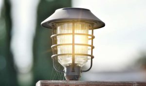 Landscape Lighting Design Fixture Lit Up