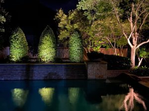 3 small green trees illuminated by uplighting sit on a ledge, reflecting in a pool of water below 3 small green trees illuminated by uplighting sit on a ledge, reflecting in a pool of water below