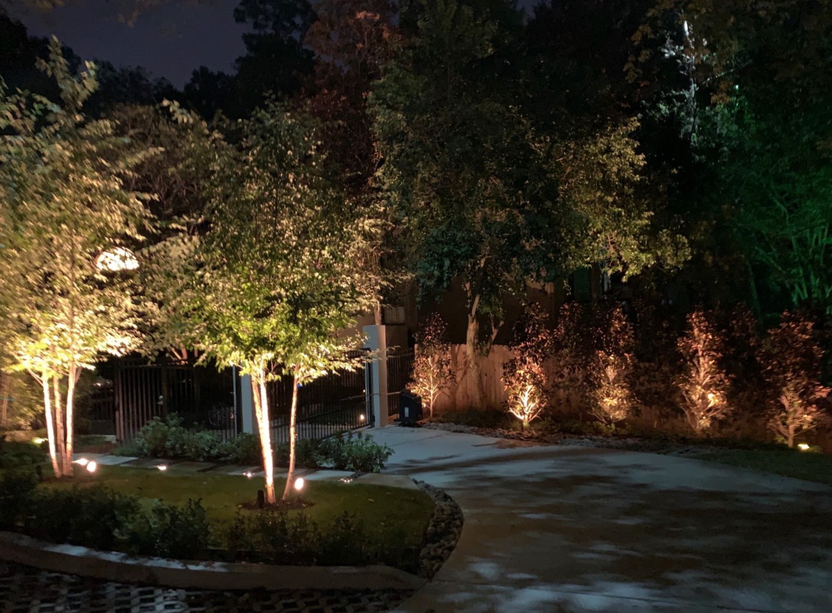 Outdoor Lighting Lines trees & shrubs on a Driveway