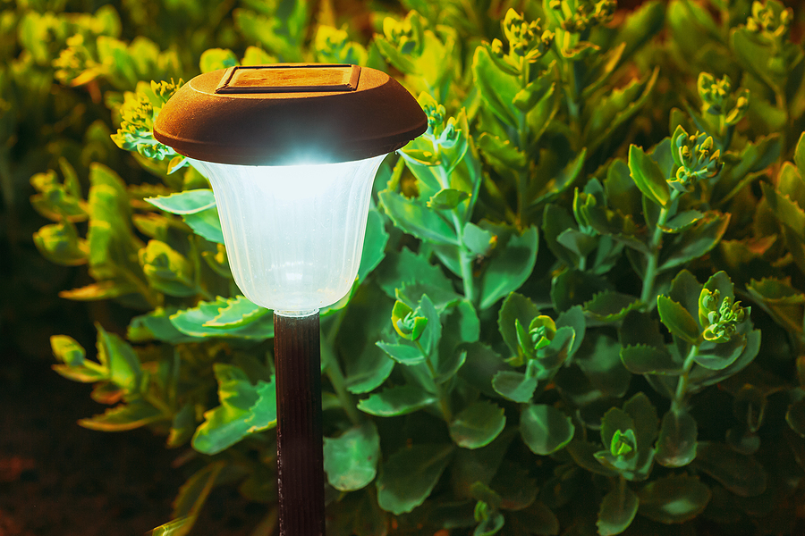 Good Solar Outdoor Lighting Fixture against plant