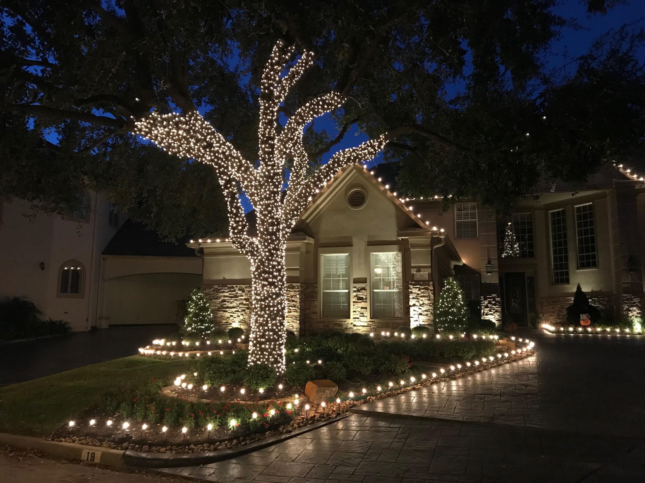 Home driveway, tree, and eves lit up with christmas lights