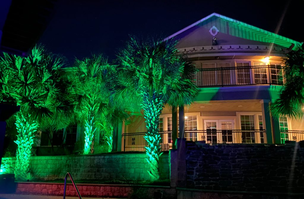 3 Tips for Lighting Your Trees