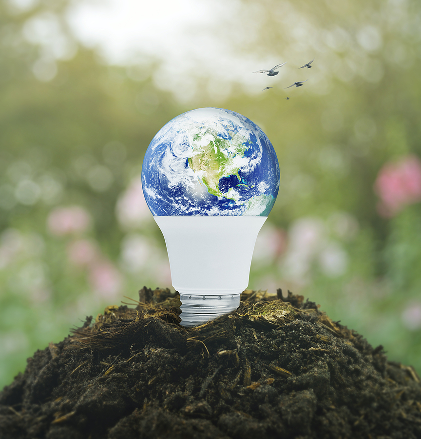 Energy efficient lightbulb plugged into dirt pile