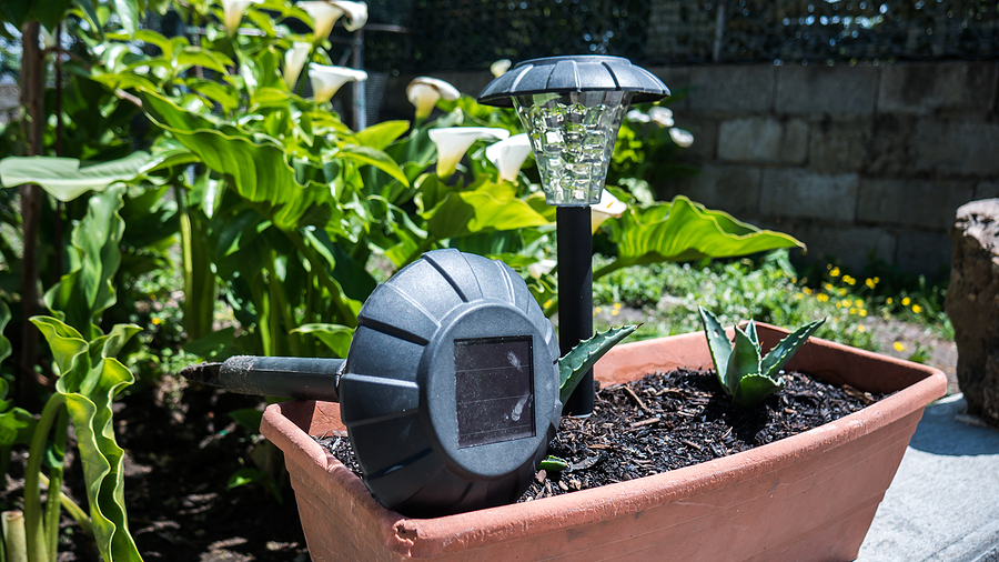 Solar Landscape Lighting Options