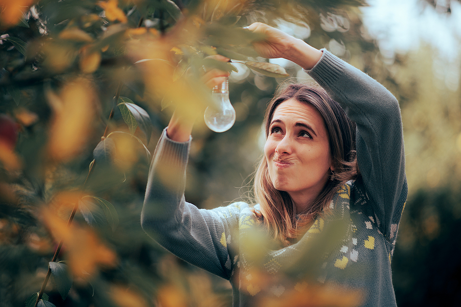 Funny Woman Hanging Lightbulb Decorations in a Tree. Mistakes