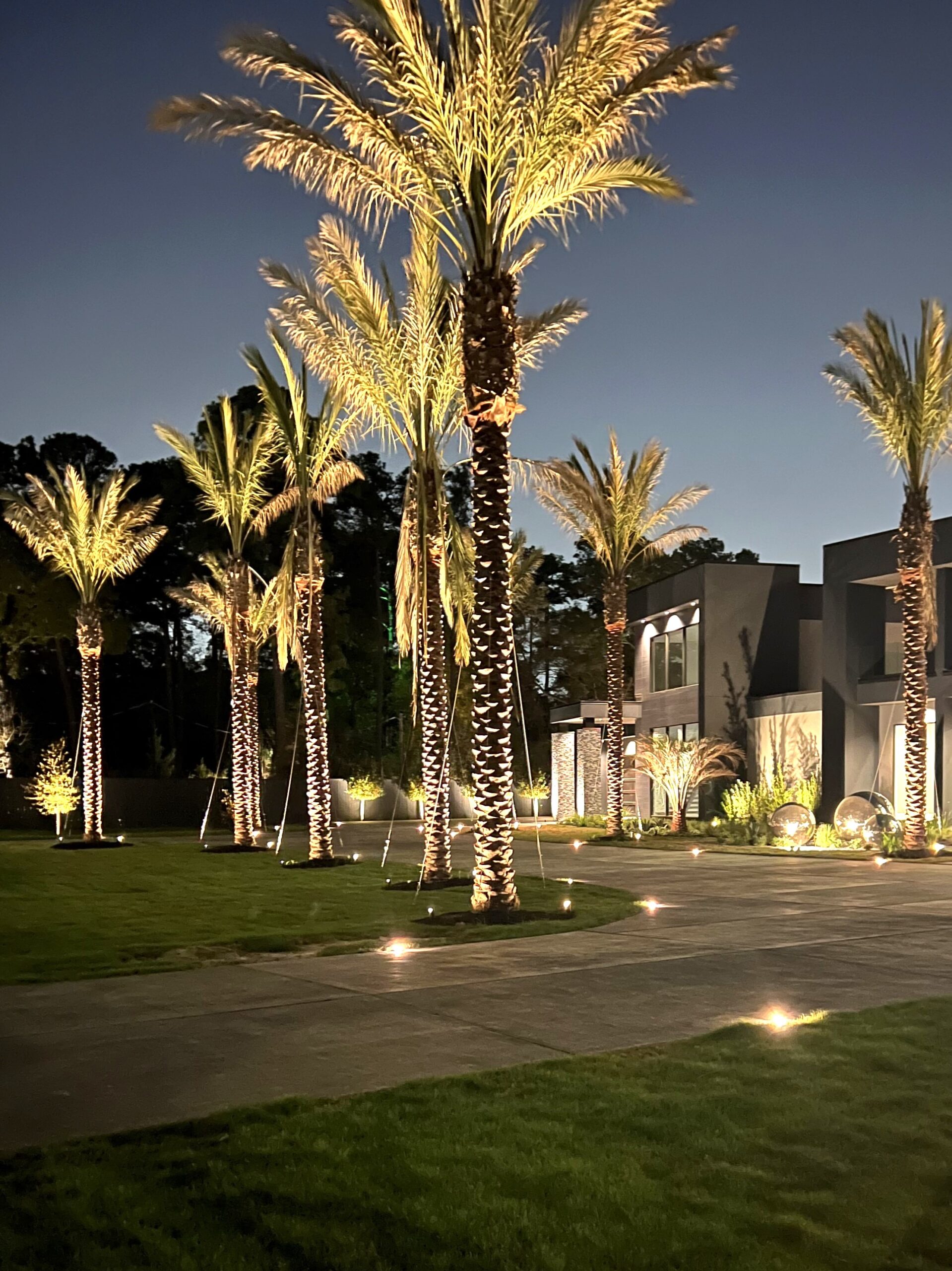 Front of luxury home with palm trees illuminated. Highlighting Uplights and Downlights in landscape lighting.