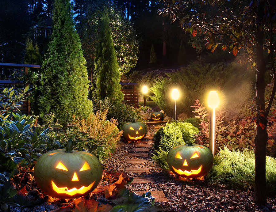 Illuminated home garden path lights with harvest decor.