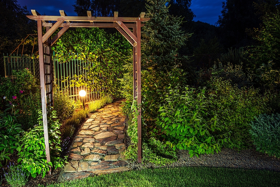 backyard lighting