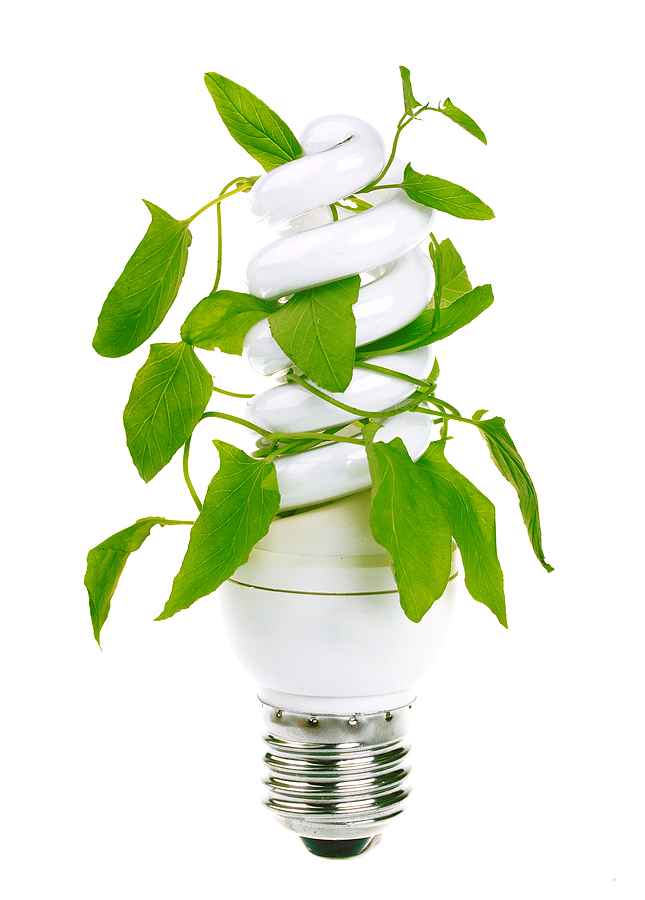 eco-friendly lighting