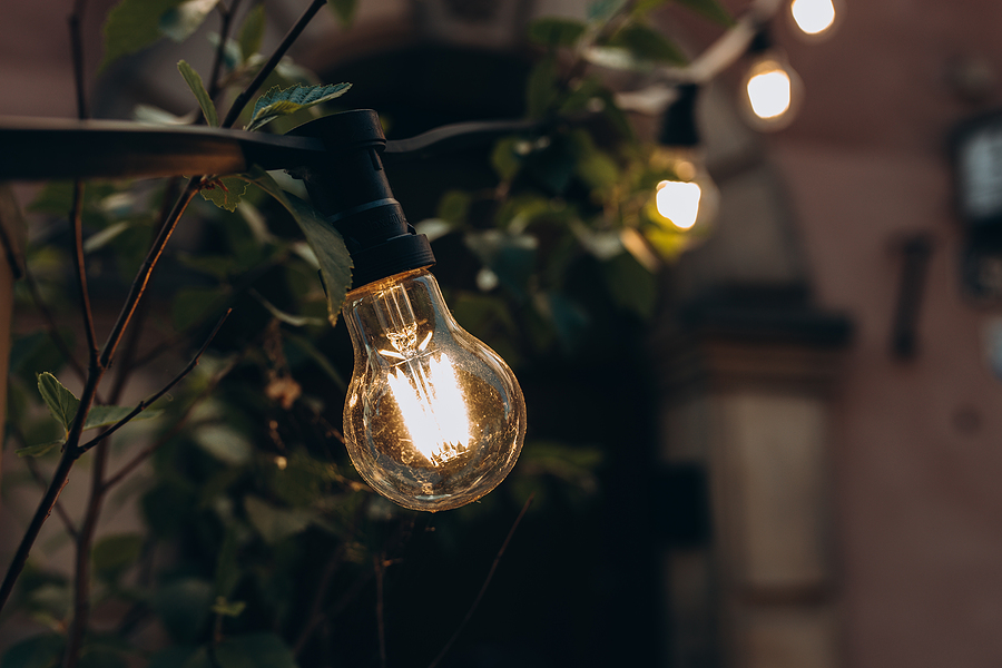 lighting outdoors on a tree branch
