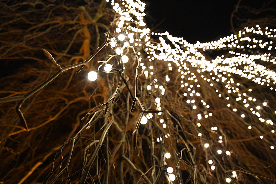 winter lighting
