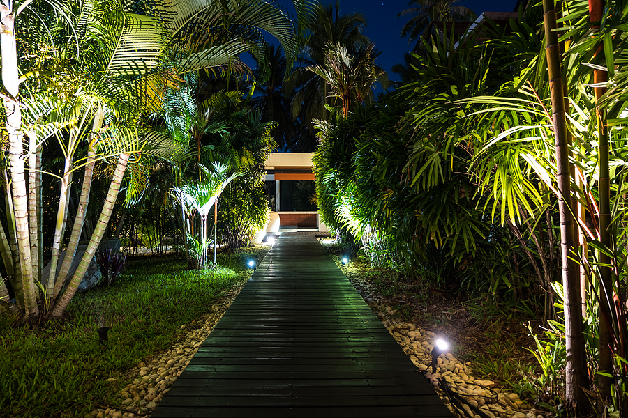 Soft lighting enhances the tropical garden at night, creating a warm and inviting yard ambiance with a tranquil atmosphere.