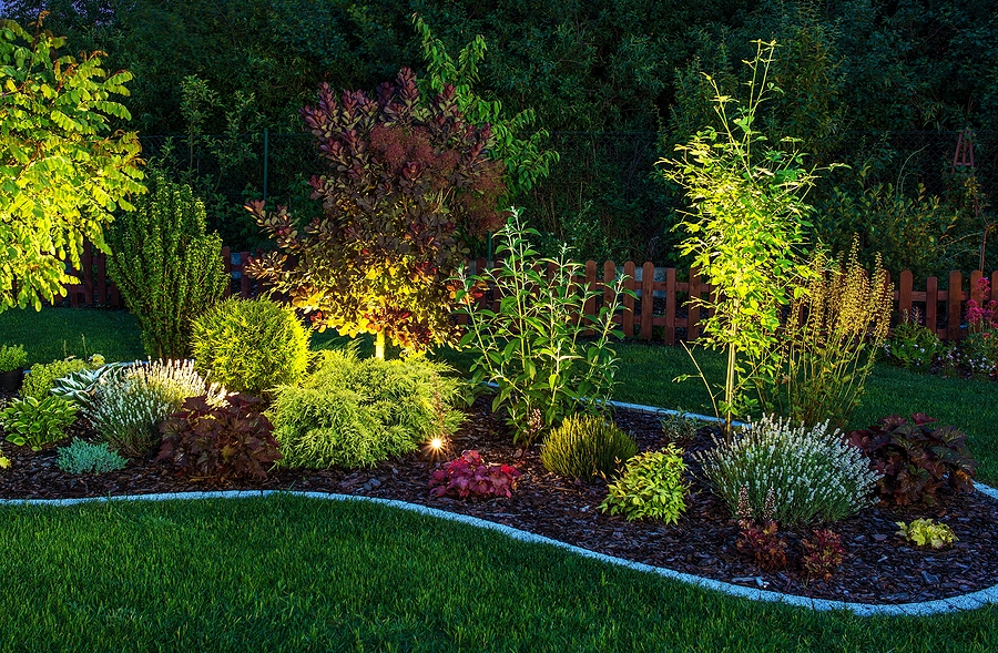 Illuminated garden pathway with eco-friendly lights, showcasing Conscious Landscaping principles in a serene outdoor setting.