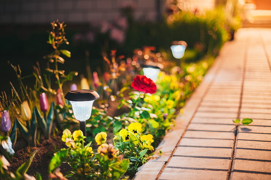 Solar garden lanterns in a flower bed showcasing new lighting trends for eco-friendly and decorative outdoor design.