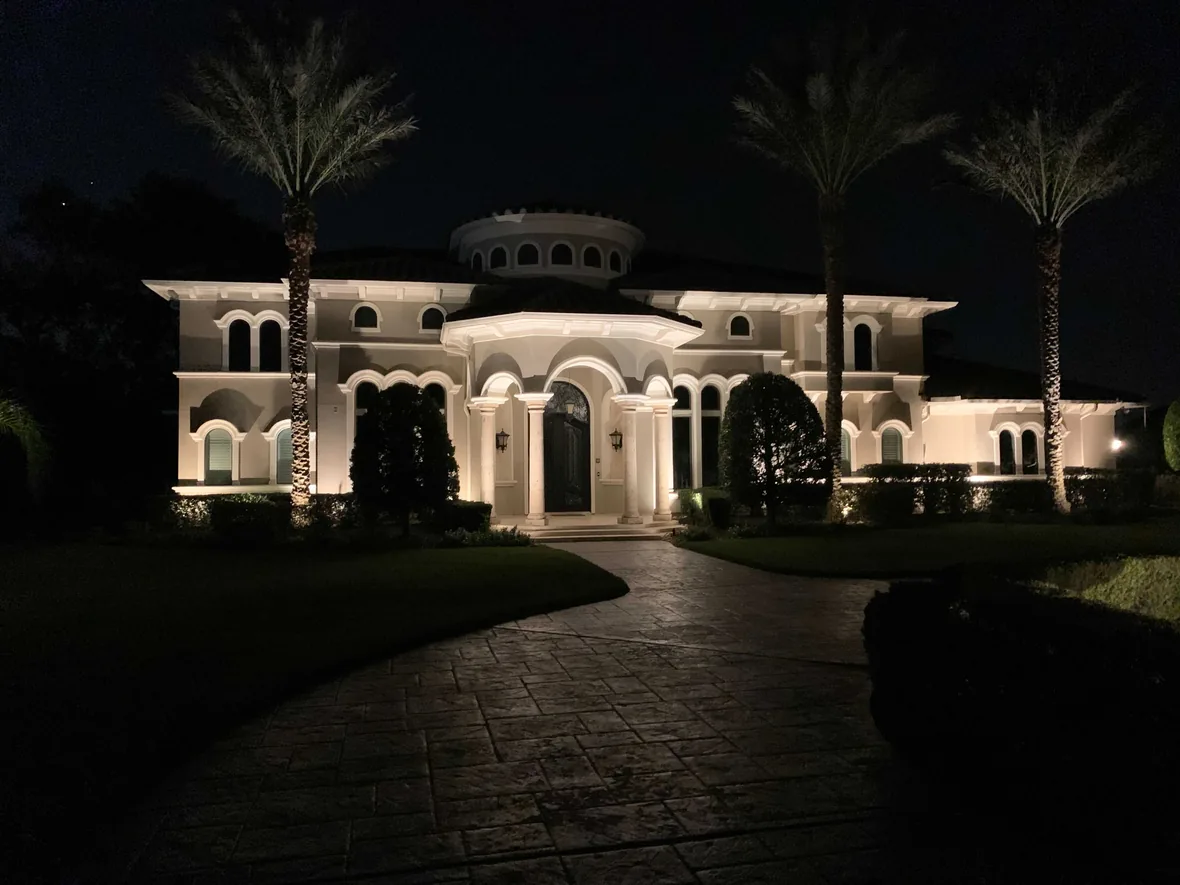 House and mature planting lit at night from the street
