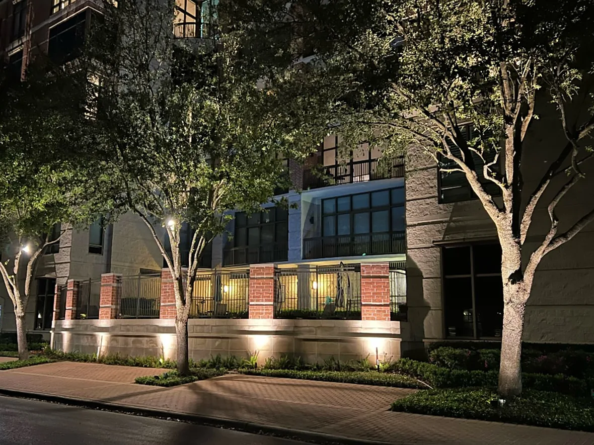 Commercial building frontage and mature trees lit from the ground at night