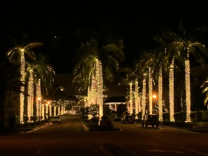 Palms wrapped in warm lights along a commercial drive at night