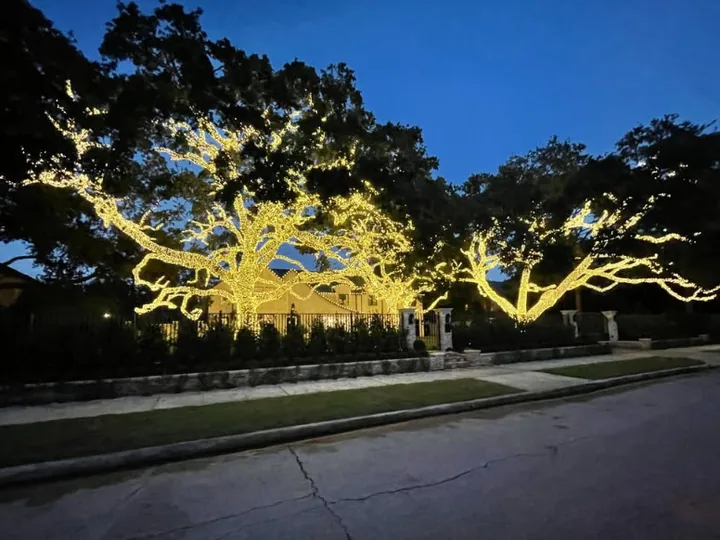 Mature oak wrapped in warm lights at dusk in front of a Houston home