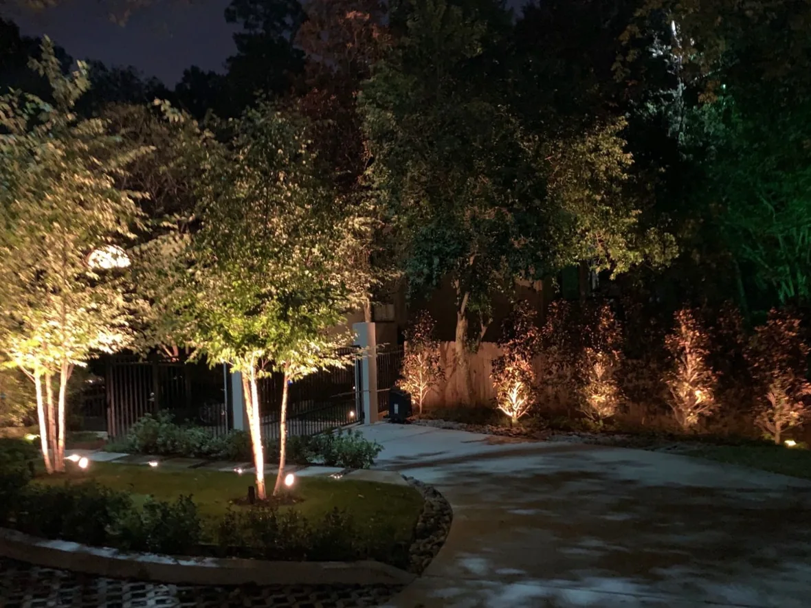 Driveway and mature trees lit at night, with light and darkness alternating to create depth