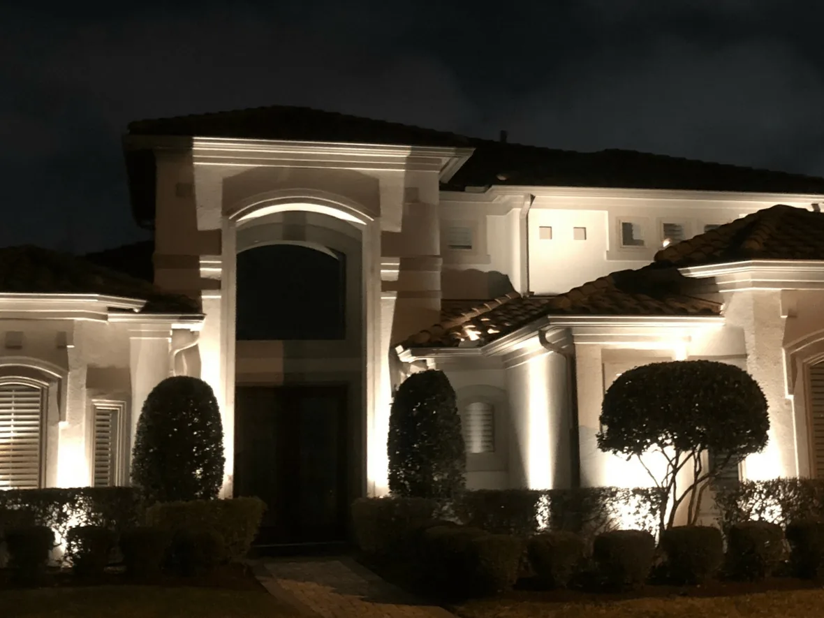House elevation lit so the architecture reads and the planting recedes into shadow
