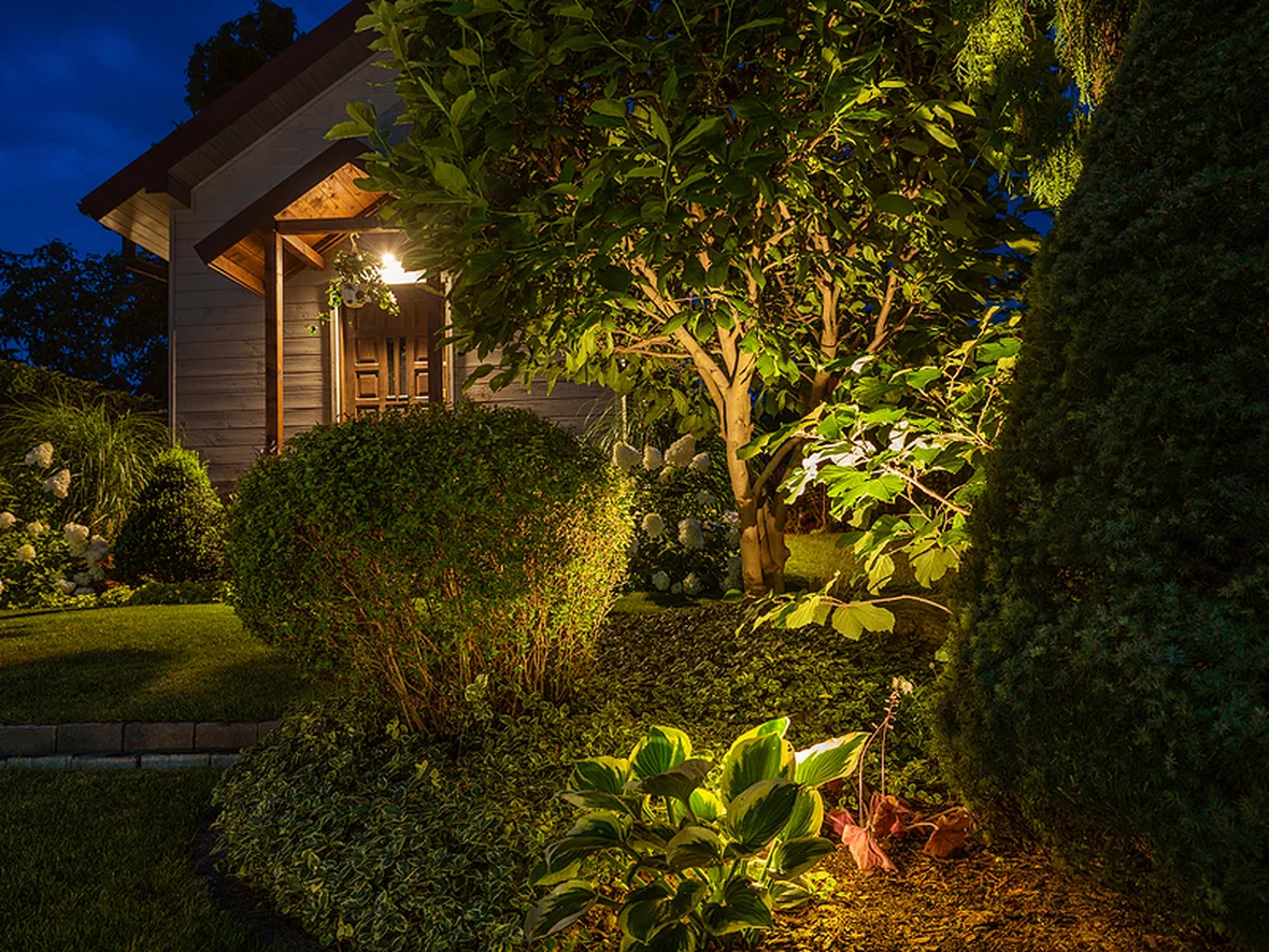Row of trees lit at the back of a lawn so the garden reads deeper than the patio lighting alone would show